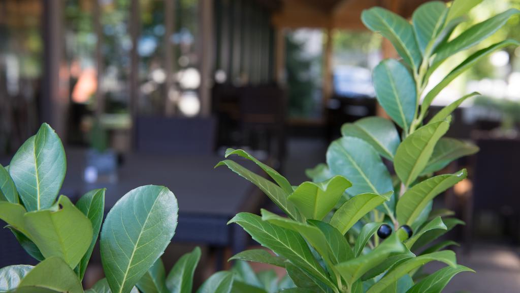 Hotel Badhof Альтештеттен Номер фото